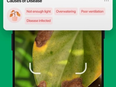 PictureThis - Plant Identifier