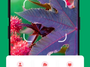 PictureThis - Plant Identifier