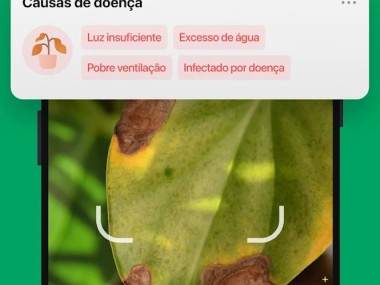 PictureThis Identificar Planta