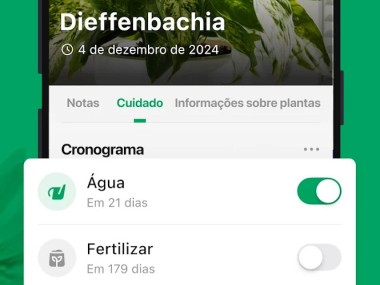 PictureThis Identificar Planta