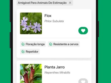 PictureThis Identificar Planta