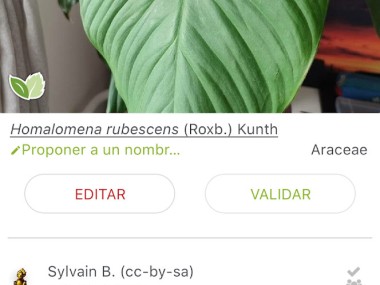 PlantNet Identifica Plantas