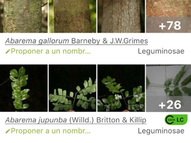 PlantNet Identifica Plantas