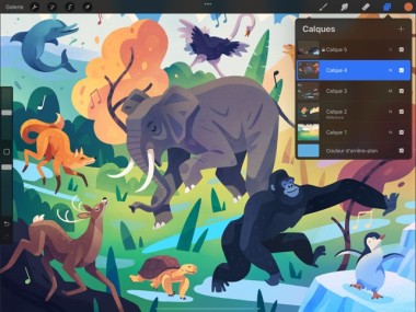 Procreate