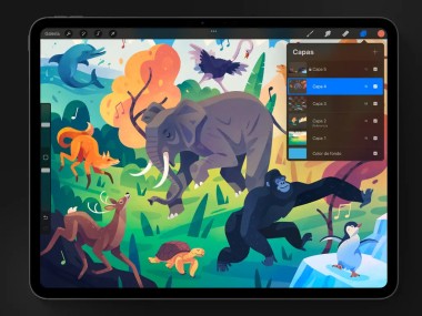 Procreate