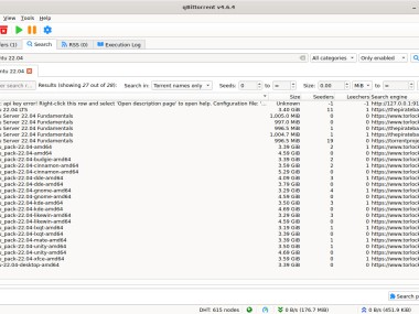 qBittorrent qBittorrent