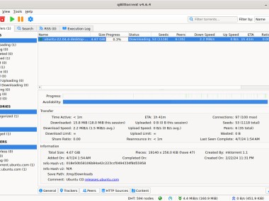 qBittorrent qBittorrent