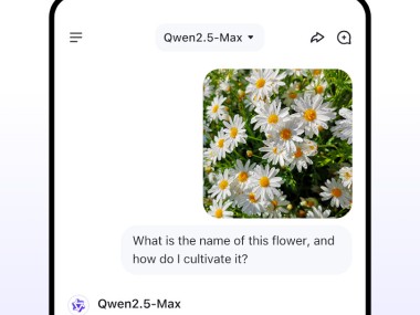Qwen Chat
