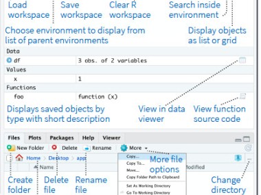 RStudio IDE