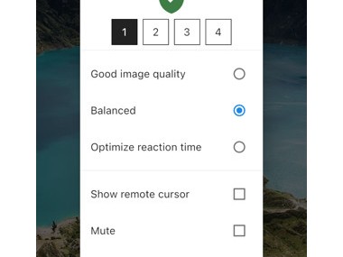RustDesk Remote Desktop RustDesk Remote Desktop