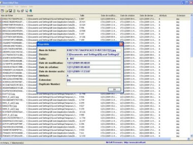 SearchMyFiles