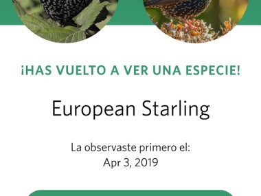 Seek, por iNaturalist