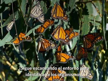 Seek, por iNaturalist