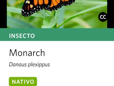 Seek, por iNaturalist