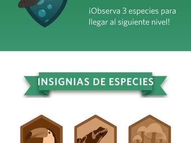 Seek, por iNaturalist