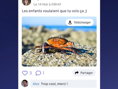 Shared - organisation familiale
