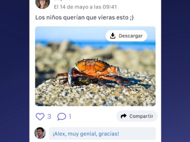 Shared, organización familiar