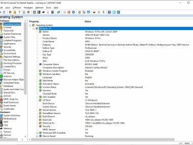 System Information for Windows (SIW)