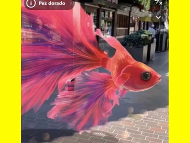 Descargar Snapchat (gratis) para Android APK iOS y Web App Gizmodo