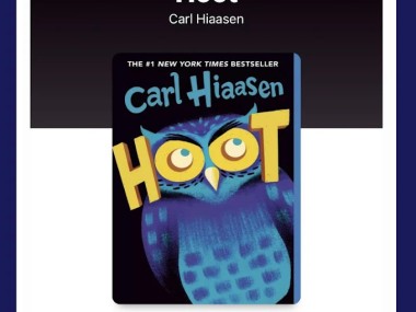 Sora, by OverDrive Education