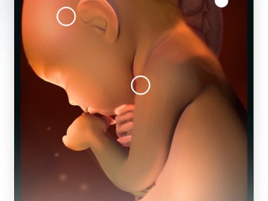 Pregnancy Tracker by Sprout