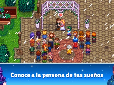 Stardew Valley