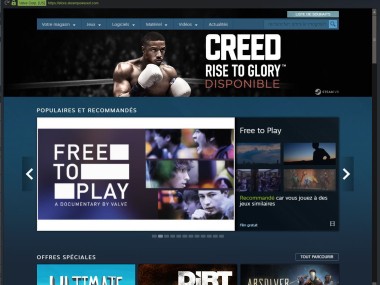 Steam