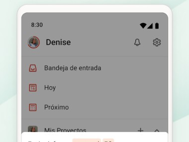 Todoist