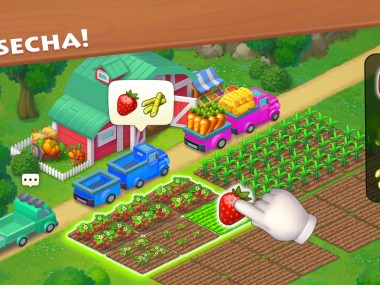 Township
