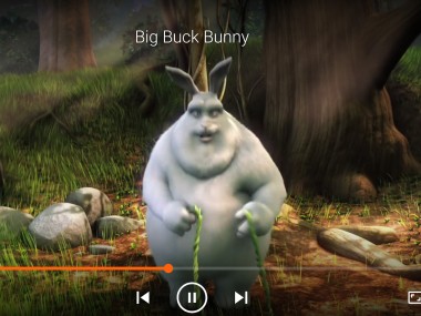 VLC media player