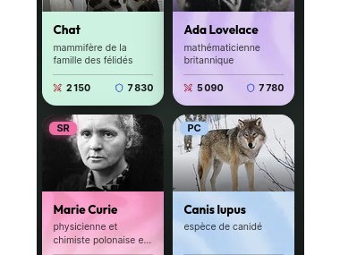 Wikimasters