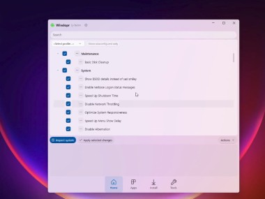 Winslopr (Windows Slop Remover)