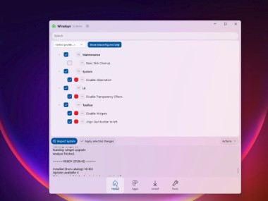 Winslopr (Windows Slop Remover)