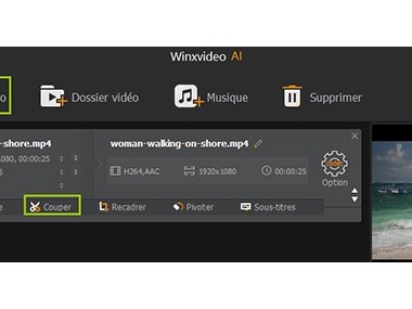 WinXVideo AI