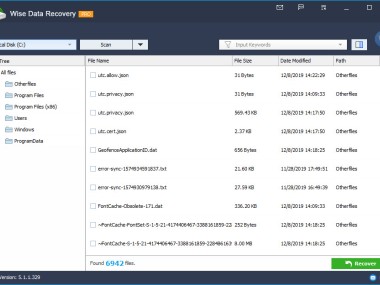 Wise Data Recovery