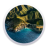 macOS Big Sur