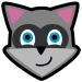 Raccoon APK Downloader