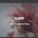 Apprendre Gimp 2.10 - Les Fondamentaux
