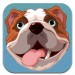 Barking Dog Barking Dog