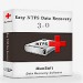 Easy NTFS Data Recovery