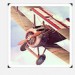 Flight Theory Flight Theory