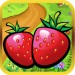 Fruit Book Fruit Book