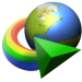 Internet Download Manager (idm)