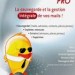 MisterChick Pro MisterChick Pro