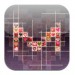 Mosaic Photo for iPad