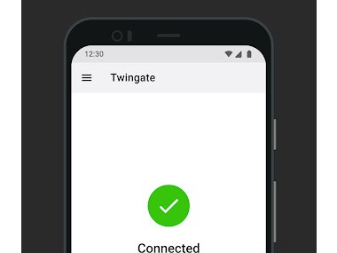 Twingate