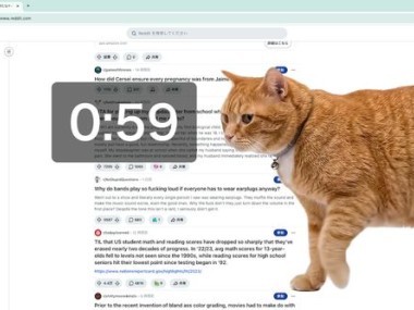 Cat Gatekeeper