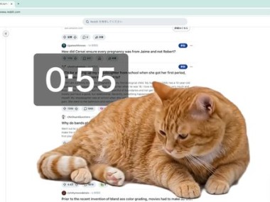 Cat Gatekeeper