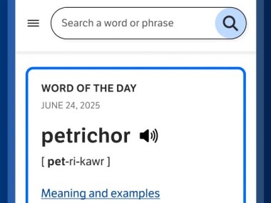 Dictionary.com English Word Meanings & Definitions