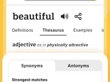 Dictionary.com English Word Meanings & Definitions